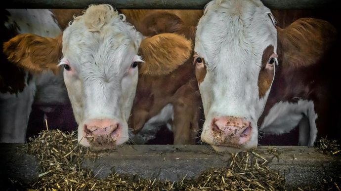 Les fabricants d'alimentation animale vise une réduction de 20 % des émissions de gaz à effet de serre de leur secteur d'activité.