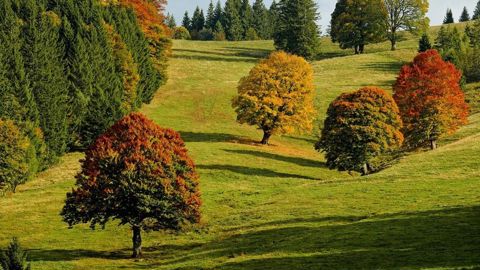 La deuxième partie du mois d'octobre a marqué l'entrée véritable dans l'automne. La deuxième partie du mois d'octobre a marqué l'entrée véritable dans l'automne.