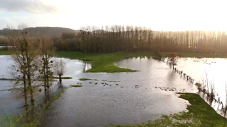 Selon le ministre, 200 bovins n'ont pas pu être sauvés des inondations dans le Pas-de-Calais Selon le ministre, 200 bovins n'ont pas pu être sauvés des inondations dans le Pas-de-Calais