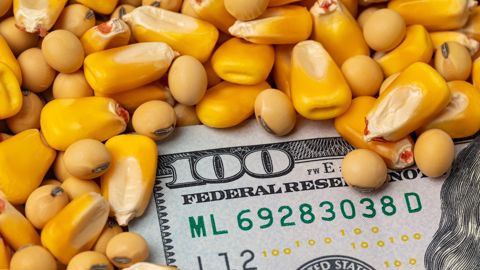 À la clôture de Chicago, mardi 14 novembre, le maïs à terme décembre 2023 a avancé de 1 c$/bu à 4,78 $/bu, et la fève de soja à livraison janvier 2024 s'est appréciée de 7,25 c$/bu, à 13,9 $/bu. À la clôture de Chicago, mardi 14 novembre, le maïs à terme décembre 2023 a avancé de 1 c$/bu à 4,78 $/bu, et la fève de soja à livraison janvier 2024 s'est appréciée de 7,25 c$/bu, à 13,9 $/bu.