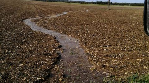 Quelles conséquences des excès d'eau pour les céréales d'hiver ?