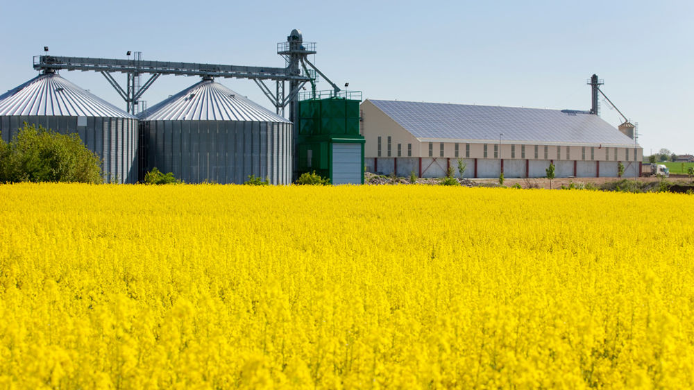 Le carbone dans les sols cultivés : la clé de la neutralité carbone agricole ?