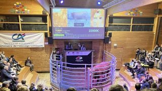 Tobby a été mis à prix à 3 100 € sur le ring de Lanaud. Tobby a été mis à prix à 3 100 € sur le ring de Lanaud.