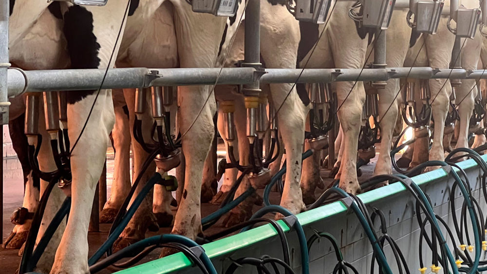 I2E : Eureden enquête sur l’indicateur d’exposition aux endectocides 