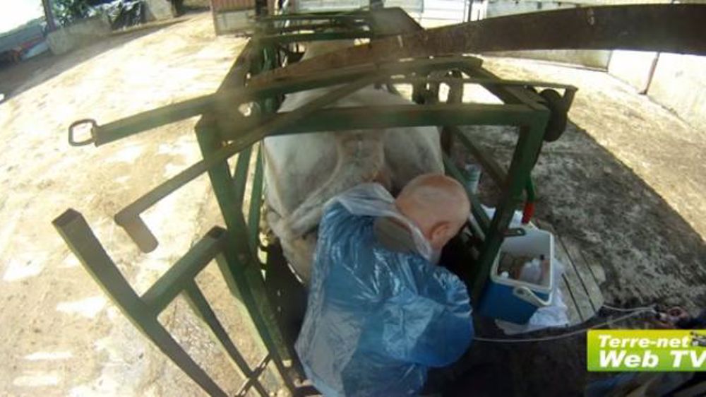 De la méthode 3 voies au choix des embryons