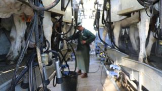 La MHE et les intempéries du mois de novembre freinent la reprise de la collecte laitière française.