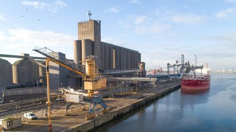 Une fois le nouveau silo de Nord Céréales opérationnel, le site dunkerquois pourra atteindre la capacité physique de 330 000 t. Une fois le nouveau silo de Nord Céréales opérationnel, le site dunkerquois pourra atteindre la capacité physique de 330 000 t.