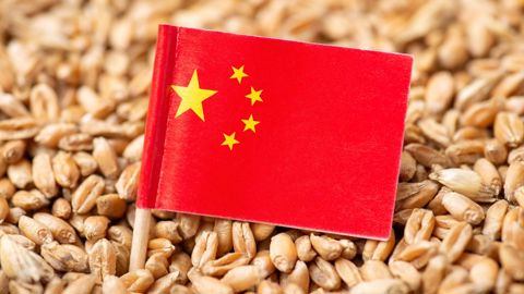 L'annonce en début de semaine par le ministère américain de l'agriculture (USDA) de la vente de 440 000 tonnes de blé de variété SRW (Soft Red Winter) à la Chine a ranimé un marché des exportations à la peine aux Etats-Unis. L'annonce en début de semaine par le ministère américain de l'agriculture (USDA) de la vente de 440 000 tonnes de blé de variété SRW (Soft Red Winter) à la Chine a ranimé un marché des exportations à la peine aux Etats-Unis.