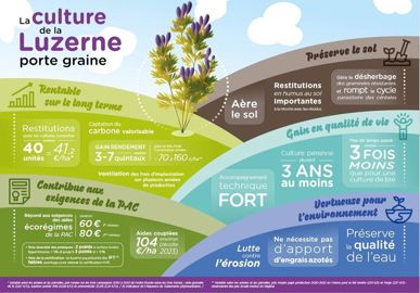 La culture de la luzerne porte-graine