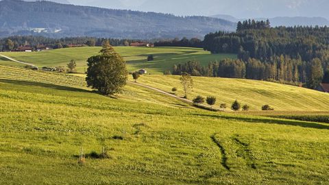 Le fermage impayé peut entrainer la résiliation du bail.