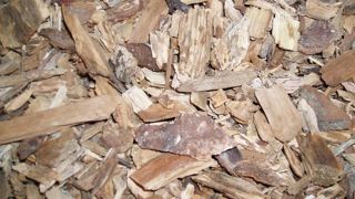 Les plaquettes de bois peuvent constituer une bonne alternative à la paille pour la litière des bovins allaitants.
