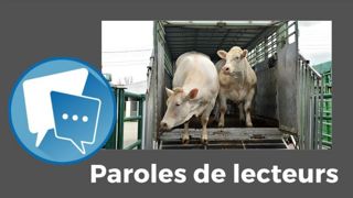 Et vous ? Vous en avez marre de toutes ces contraintes réglementaires ? Donnez votre avis en commentaire sous l'article.