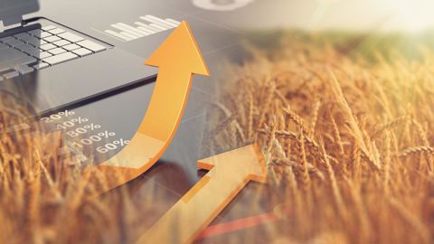 Entre la hausse des prix des intrants et la baisse des prix de vente, l'effet ciseau est, en 2023, très marqué pour la filière céréalière et ses agriculteurs, selon les premiers chiffres de l'Insee. Entre la hausse des prix des intrants et la baisse des prix de vente, l'effet ciseau est, en 2023, très marqué pour la filière céréalière et ses agriculteurs, selon les premiers chiffres de l'Insee.