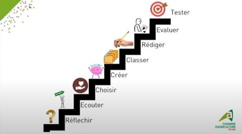 L escalier des étapes de l'innovation.