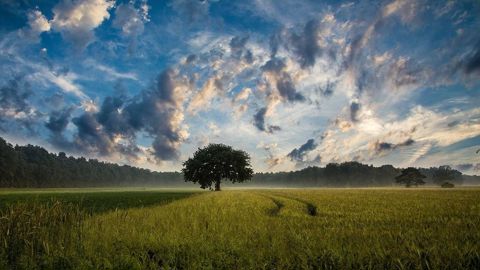 L'année 2023 a été marquée par l'humidité et la douceur L'année 2023 a été marquée par l'humidité et la douceur