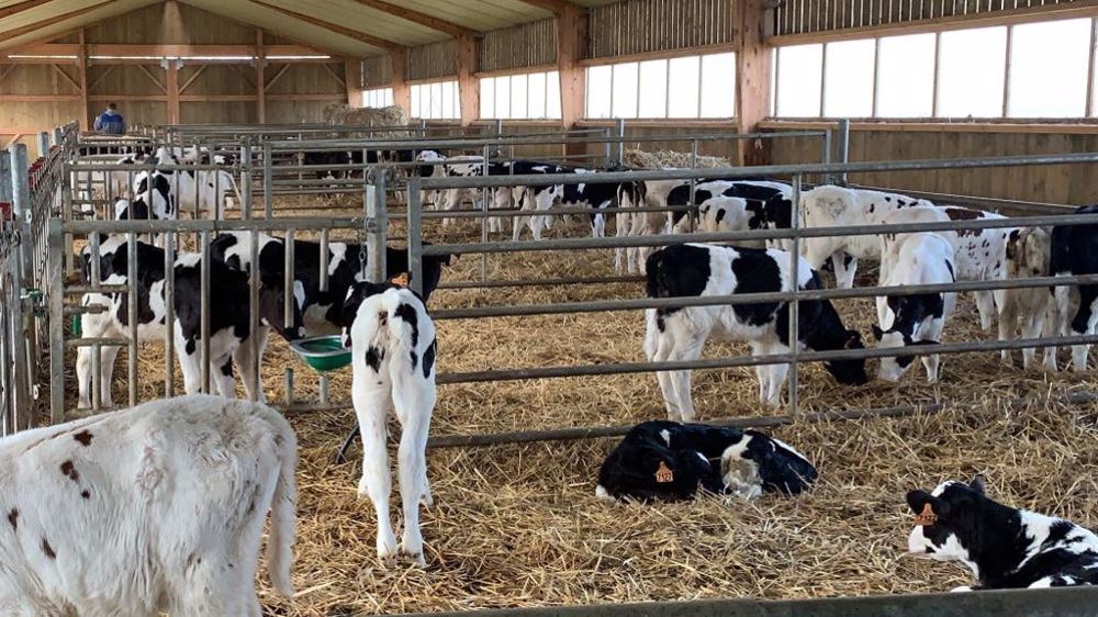 En 2023, la baisse de la production de veaux (- 7,8 %) a été supérieure à la baisse de la consommation des ménages (- 5 %).