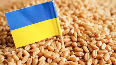 Les importations de produits agro-alimentaires ukrainiens dans l'UE ont gonflé de 11 % en valeur sur la période janvier-septembre 2023 par rapport à 2022.