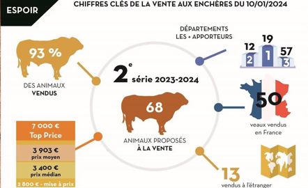 Vente taureaux Espoirs
