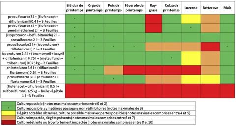 Possibilité de réimplantation des cultures de printemps en fonction des programmes d'automne