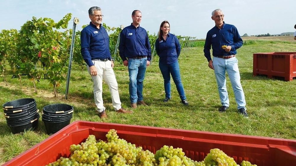 Xavier Harlé Julien Dhaine et Marie Dhaine vignerons et Christophe Dubreucq directeur développement et commercialisation Les 130