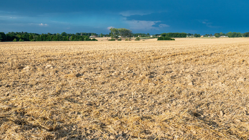 Implanter des couverts, une obligation qui vous profite
