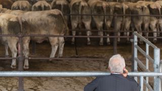Les acheteurs « bénéficient d'un rapport de force à leur avantage dans la négociation des prix », estime la Cour des Comptes. Les acheteurs « bénéficient d'un rapport de force à leur avantage dans la négociation des prix », estime la Cour des Comptes.