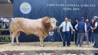 Raphaël de la copropriété Rémi Gramont à Condom et Earl Dugros à Goutz Jean-Pierre Dugros
né au Gaec Dubosc-Robin à Viella. Raphaël de la copropriété Rémi Gramont à Condom et Earl Dugros à Goutz Jean-Pierre Dugros
né au Gaec Dubosc-Robin à Viella.