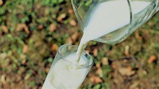 Décider d’un prix « plancher » sur les matières premières agricoles est contraire au droit de la concurrence selon la Coopération laitière. Décider d’un prix « plancher » sur les matières premières agricoles est contraire au droit de la concurrence selon la Coopération laitière.