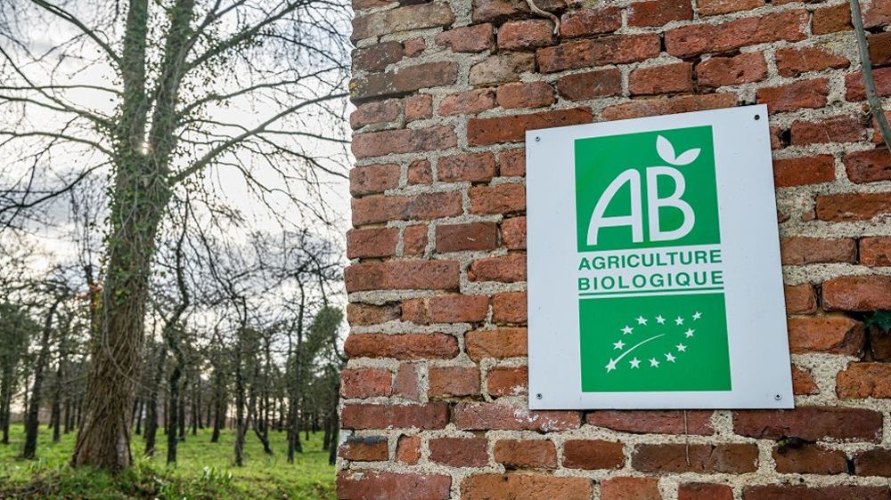 Actuellement, 10,7 % de la surface agricole utile (SAU) en France est en bio.