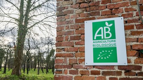 Actuellement, 10,7 % de la surface agricole utile (SAU) en France est en bio. Actuellement, 10,7 % de la surface agricole utile (SAU) en France est en bio.