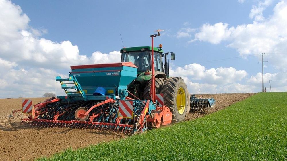 Semis de printemps
