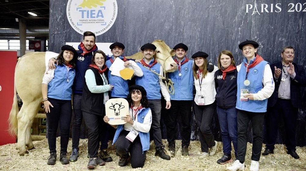 Remise des prix du TIEA 2024