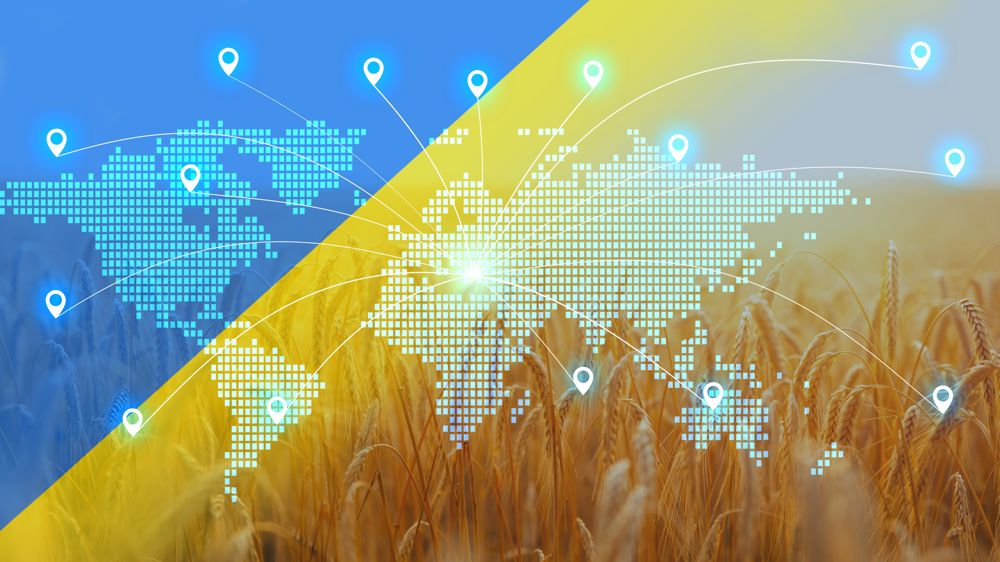 D'après les dernières estimations du Conseil international des céréales, l'Ukraine devrait exporter 14,3 Mt de blé et 23 Mt de maïs sur la campagne 2023/24, contre respectivement 16,9 Mt et 28,5 Mt sur 2022/23.