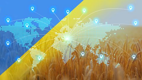 D'après les dernières estimations du Conseil international des céréales, l'Ukraine devrait exporter 14,3 Mt de blé et 23 Mt de maïs sur la campagne 2023/24, contre respectivement 16,9 Mt et 28,5 Mt sur 2022/23.