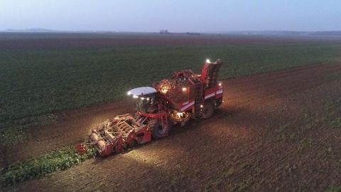 Tereos annonce une rémunération betteravière à environ 48,08 €/t à 16° pour la campagne 2023, sur le tonnage engagé et livré, tout inclus.