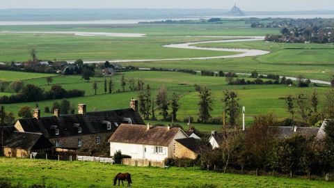 Si les territoires français restent diversifiés, ce n'est pas le fait des exploitations agricoles, de plus en plus spécialisées. Si les territoires français restent diversifiés, ce n'est pas le fait des exploitations agricoles, de plus en plus spécialisées.