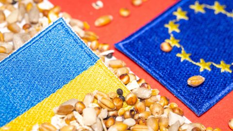 Les agriculteurs européens accusent l'afflux de produits agricoles ukrainiens de plomber les 
prix locaux et d'entretenir une concurrence déloyale.