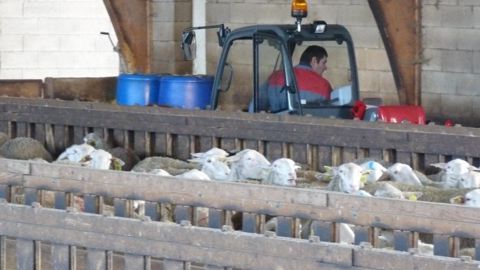 Ses 40 chevaux surprennent l'agriessayeur Christophe Layrolle Ses 40 chevaux surprennent l'agriessayeur Christophe Layrolle