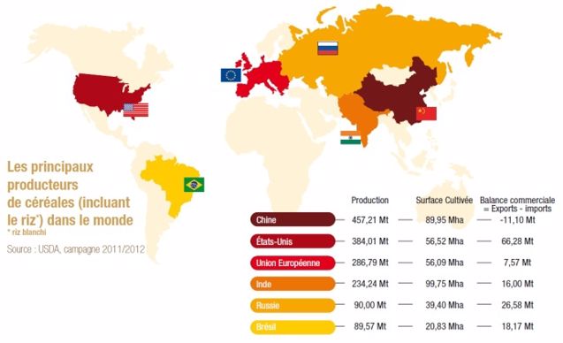Les principaux producteurs de céréales dans le monde.