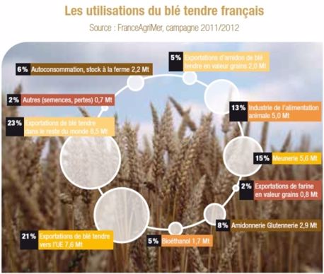 Les utilisations du blé tendre français.