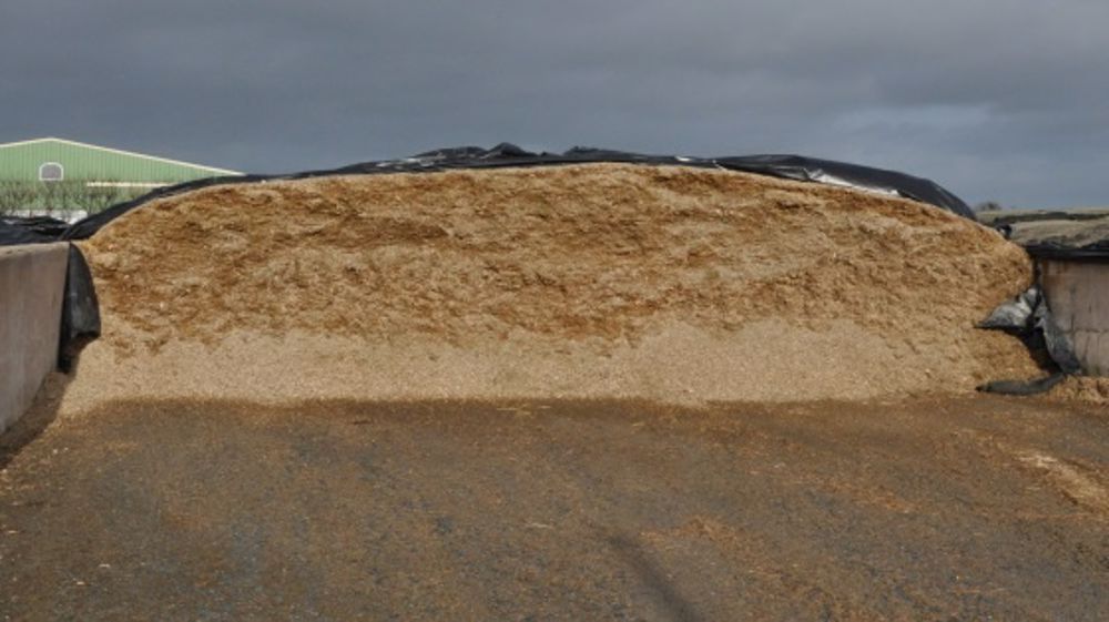 Avec le temps, l’amidon devient plus fermentescible