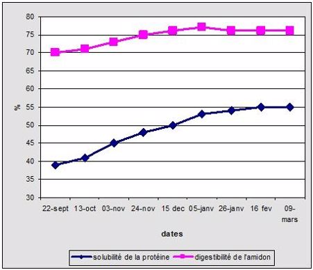 Evolution  de  la digestibilité de l’amidon et de la solubilité de la protéine d’un ensilage de maïs en fonction de la durée de stockage.  Analyses d’ensilage réalisées à intervalles de 3 semaines par Cumberland valley Analytical Services Quebec, au cours des 5 dernières années