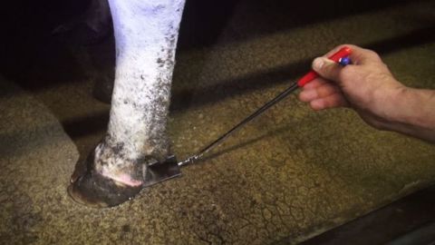 Levez le pied, vous verrez ! Levez le pied, vous verrez !