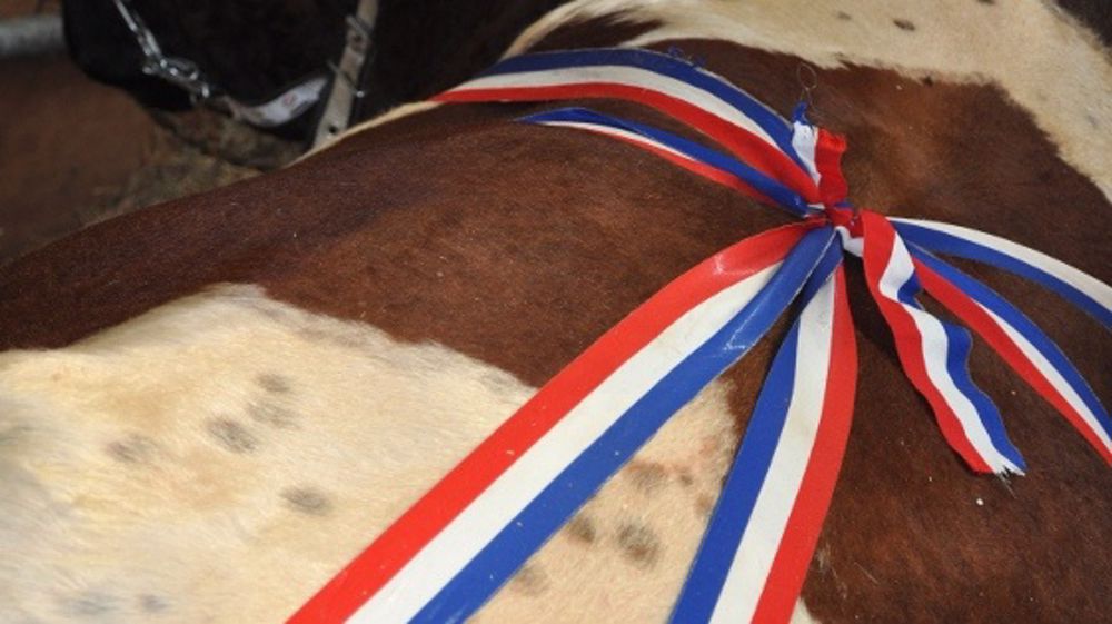 Agenda 2014 des foires de la Fncab