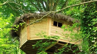 Aurélie et Rodolphe Cauchard ont installé des cabanes dans les arbres Aurélie et Rodolphe Cauchard ont installé des cabanes dans les arbres