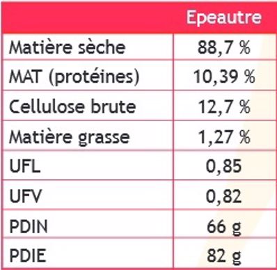 Valeurs nutritionnelles de l'épeautre