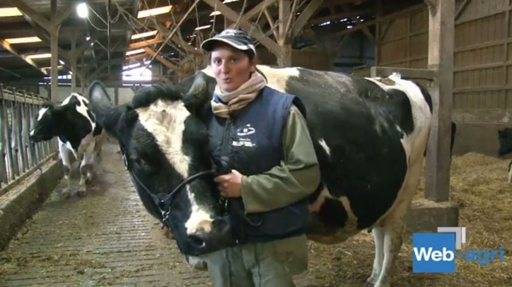 Le Gaec Ducellier remporte le prix du Meilleur éleveur 2013