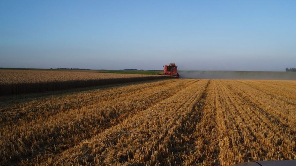 50 % de baisse en 2013