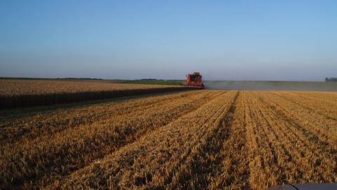 50 % de baisse en 2013
