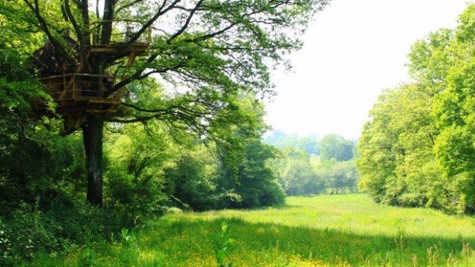 Enive d'un bon bol d'aire, d'une soirée insolite perdue dans les arbres? Enive d'un bon bol d'aire, d'une soirée insolite perdue dans les arbres?